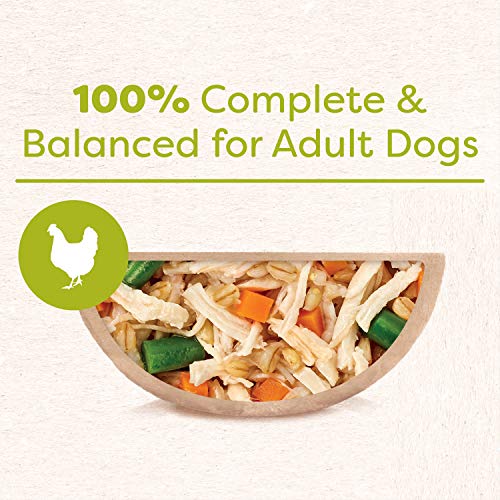 CESAR WHOLESOME BOWLS Adult Soft Wet Dog Food Chicken, Carrots, Barley & Green Beans Recipe, (10) 3 oz. Bowls