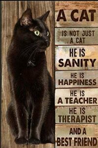 kdly a cat is not just a cat metal sign 12"x8" black cat lover home wall decor