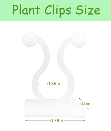 MDSOYOL Plant Climbing Wall Fixture Clips, (100pcs) Plant Fixer Self-Adhesive Hooks for Invisible Wall Vines Plant Fixation Plant Vine Traction Garden Vegetable Plant Binding (B-100 Pcs)
