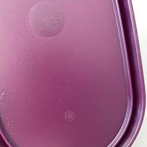 Tupperware Modular Mates Oval Replacement Lids Seal Lid 1616 Dewberry 3.75" x 7.25"