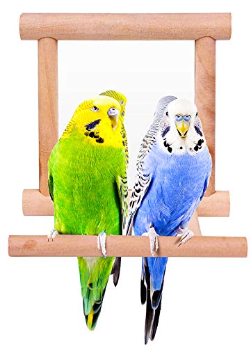 Blessed family Bird Parakeet Mirror for Cage,Parrot Perch Stand,Wooden Hummingbird Swing Toy,Parakeet Accessories for Cockatiels Conure Finch Lovebird Canary African Grey Macaw