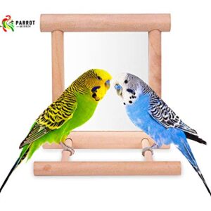 Blessed family Bird Parakeet Mirror for Cage,Parrot Perch Stand,Wooden Hummingbird Swing Toy,Parakeet Accessories for Cockatiels Conure Finch Lovebird Canary African Grey Macaw