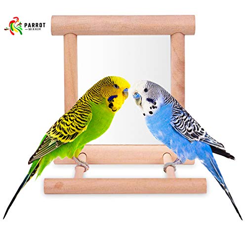 Blessed family Bird Parakeet Mirror for Cage,Parrot Perch Stand,Wooden Hummingbird Swing Toy,Parakeet Accessories for Cockatiels Conure Finch Lovebird Canary African Grey Macaw