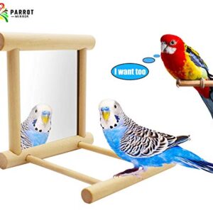 Blessed family Bird Parakeet Mirror for Cage,Parrot Perch Stand,Wooden Hummingbird Swing Toy,Parakeet Accessories for Cockatiels Conure Finch Lovebird Canary African Grey Macaw