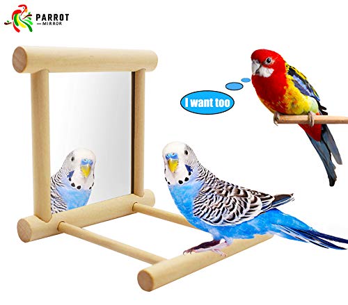 Blessed family Bird Parakeet Mirror for Cage,Parrot Perch Stand,Wooden Hummingbird Swing Toy,Parakeet Accessories for Cockatiels Conure Finch Lovebird Canary African Grey Macaw