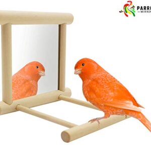 Blessed family Bird Parakeet Mirror for Cage,Parrot Perch Stand,Wooden Hummingbird Swing Toy,Parakeet Accessories for Cockatiels Conure Finch Lovebird Canary African Grey Macaw