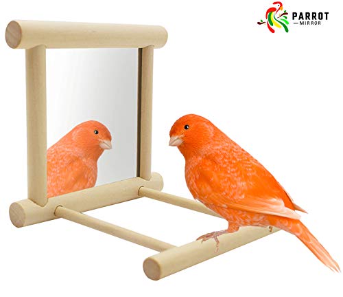 Blessed family Bird Parakeet Mirror for Cage,Parrot Perch Stand,Wooden Hummingbird Swing Toy,Parakeet Accessories for Cockatiels Conure Finch Lovebird Canary African Grey Macaw