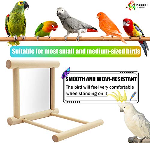 Blessed family Bird Parakeet Mirror for Cage,Parrot Perch Stand,Wooden Hummingbird Swing Toy,Parakeet Accessories for Cockatiels Conure Finch Lovebird Canary African Grey Macaw