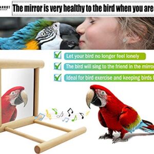 Blessed family Bird Parakeet Mirror for Cage,Parrot Perch Stand,Wooden Hummingbird Swing Toy,Parakeet Accessories for Cockatiels Conure Finch Lovebird Canary African Grey Macaw