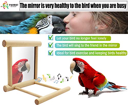 Blessed family Bird Parakeet Mirror for Cage,Parrot Perch Stand,Wooden Hummingbird Swing Toy,Parakeet Accessories for Cockatiels Conure Finch Lovebird Canary African Grey Macaw