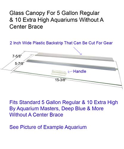 Blue Spotted Single Piece Glass Canopy for 5 Gallon Aquariums, AM31608, 16" Long x 8" Wide Aquariums with No Center Brace