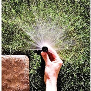 Rain Bird 1802AP8PRS Pressure Regulating (PRS) Professional Pop-Up Sprinkler, Adjustable 0 - 360° Pattern, 6' - 8' Spray Distance, 2" Pop-up Height