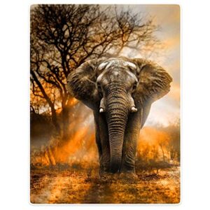 hommomh 60"x80" orange african elephant blanket soft fluffy fleece throw for women