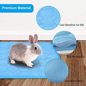 2PCS Summer Cooling Mat for Rabbit, Washable Bunny Bed, Rabbit Bed Mat, Guinea Pig Cage Liner Hamster Pee Pad, Fleece Sleep Pad for Squirrel, Hedgehog, Chinchilla, Small Animals, 15.8''x11.8'' Blue