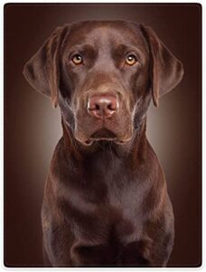 hommomh chocolate lab blanket, brown labrador dog print, soft fluffy fleece throw, 50"x60"