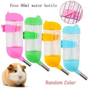 Zhang Ku 2 in 1 Small Pet Water Dispenser, with Food Container Base and 80ml Water Bottle for Bird Guinea Pig Hamster Hedgehog Chinchilla Ferret (Green)