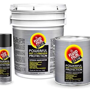 Fluid Film BLACK (12 Aerosol Cans) with DU-MOST 2' Extension Hose & Nozzle, Long Lasting Corrosion Prevention, Penetrant & Lubricant, Marine, Automotive & Snow-Handling Vehicles Undercoating, 11.75 Oz