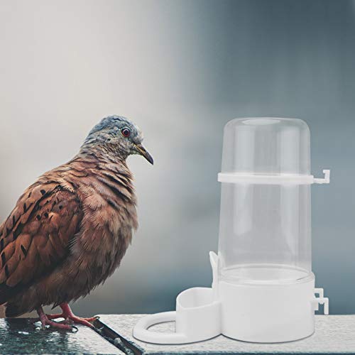 POPETPOP 2pcs Automatic Bird Feeder Water Dispenser Bottle Drinker Container Waterer for Farm Parrots Budgie Cockatiel Lovebirds 16X14CM