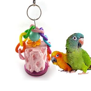 Keersi Natural Calcium Stone Bird Chew Toy for Parrot Budgies Parakeet Cockatiels Conure Finch Lovebird African Greys Cockatoo Amazon Hamster Rat Chinchilla Rabbit Gerbils Cage Parts (Random Color)