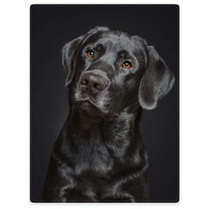 hommomh black lab blanket, gorgeous labrador dog print, soft fluffy fleece throw 50"x60"