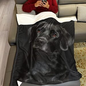 HommomH Black Lab Blanket, Gorgeous Labrador Dog Print, Soft Fluffy Fleece Throw 50"x60"