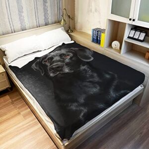 HommomH Black Lab Blanket, Gorgeous Labrador Dog Print, Soft Fluffy Fleece Throw 50"x60"