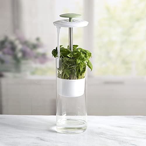 Goodful Herb Keeper Preserver, Designed for Optimum Breathable Airflow for Maximum Freshness, Water Line Ensures the Use of the Right Amount of Water, Stores in your Refrigerator
