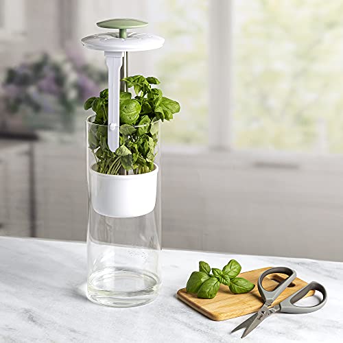 Goodful Herb Keeper Preserver, Designed for Optimum Breathable Airflow for Maximum Freshness, Water Line Ensures the Use of the Right Amount of Water, Stores in your Refrigerator
