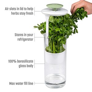 Goodful Herb Keeper Preserver, Designed for Optimum Breathable Airflow for Maximum Freshness, Water Line Ensures the Use of the Right Amount of Water, Stores in your Refrigerator