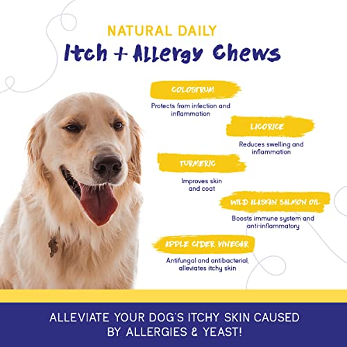 PupGrade Itch & Allergy Chew Supplement for Dogs - Immune Support with Alaskan Salmon Fish Oil - Anti Itch, Seasonal Allergies, & Skin Hot Spots