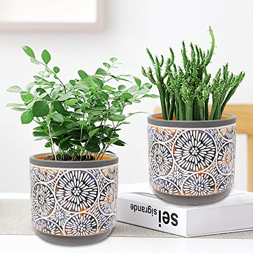 Vivimee 2 Pack Ceramic Plant Pots, 5 Inch Flower Pot Set, Planter Set with Drainage Hole for Indoor Plants, Cactus, Succulent, Snake Plants, Bamboo, Clay Pottery Garden Pots for Outdoor Plants(Gray)