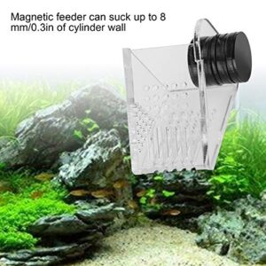 Aquarium Transparent Acrylic Feeding Container Fish Tank Cone Feeder with Magnetic Suction Fish‑Box Feeder for Aquarium Accessories