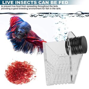 Aquarium Transparent Acrylic Feeding Container Fish Tank Cone Feeder with Magnetic Suction Fish‑Box Feeder for Aquarium Accessories