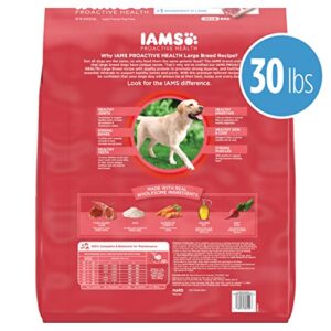 IAMS Large Breed Adult Dry Dog Food Lamb & Rice Recipe, 30 lb. Bag