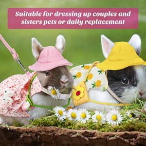 2 Sets Pet Rabbit Bunny Dress Bunny Easter Costume with Leash Hat Mini Bag Harness Leash Small Animals Accessory for Rabbit Hedgehog Ferret Guinea Pigs Piggies Squirrel (Pineapple and Cherry)