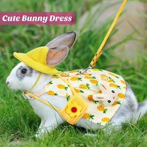 2 Sets Pet Rabbit Bunny Dress Bunny Easter Costume with Leash Hat Mini Bag Harness Leash Small Animals Accessory for Rabbit Hedgehog Ferret Guinea Pigs Piggies Squirrel (Pineapple and Cherry)