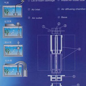 ALEGI Aquarium Sponge Filter with Airline Tubing, Check Valves, Suction Cups for 10 Gallon Fish Tank, Betta, Nano, Shrimp, Fry, Biochemical Filter