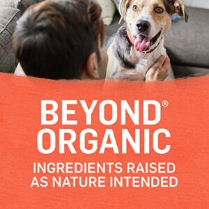 Purina Beyond Organic Wet Dog Food, Organic Chicken & Sweet Potato Adult Recipe Ground Entrée With Broth - (12) 13 oz. Cans
