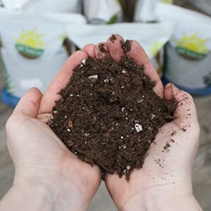 Peace Lily Potting Soil Mix (2 Quarts), for Planting, Growing, or Repotting Peace Lily Plants