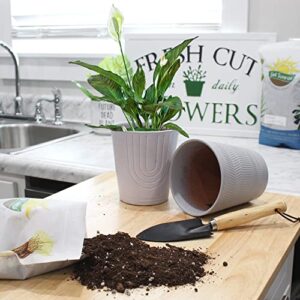 Peace Lily Potting Soil Mix (2 Quarts), for Planting, Growing, or Repotting Peace Lily Plants