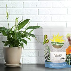 Peace Lily Potting Soil Mix (2 Quarts), for Planting, Growing, or Repotting Peace Lily Plants