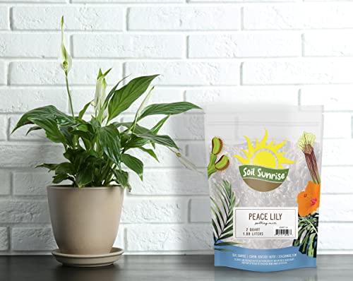 Peace Lily Potting Soil Mix (2 Quarts), for Planting, Growing, or Repotting Peace Lily Plants