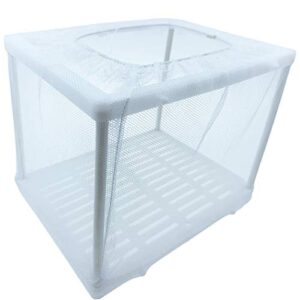 Aquarium Fish Breeder Box, Breeding Incubator for Small Fish Hatchery Shrimp Clownfish Aggressive Fish Injured Fish