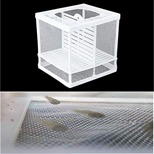 Aquarium Fish Breeder Box, Breeding Incubator for Small Fish Hatchery Shrimp Clownfish Aggressive Fish Injured Fish