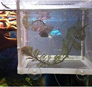 Aquarium Fish Breeder Box, Breeding Incubator for Small Fish Hatchery Shrimp Clownfish Aggressive Fish Injured Fish