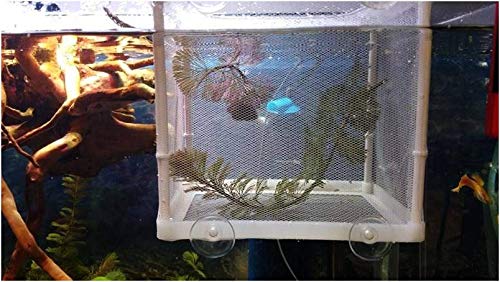 Aquarium Fish Breeder Box, Breeding Incubator for Small Fish Hatchery Shrimp Clownfish Aggressive Fish Injured Fish