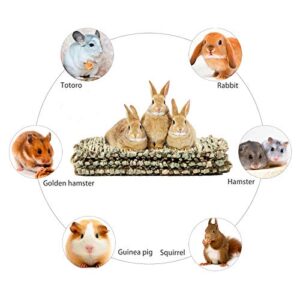 Anyuxin Rabbit Grass Mat - Woven Bed Mat, Bunny Bedding for Small Animals, Natural Straw Woven Bed for Pet Nesting, Nature Hay Mat Chewing Play Toy for Guinea Pig, Hamster, Squirrel and More（3 Pack）