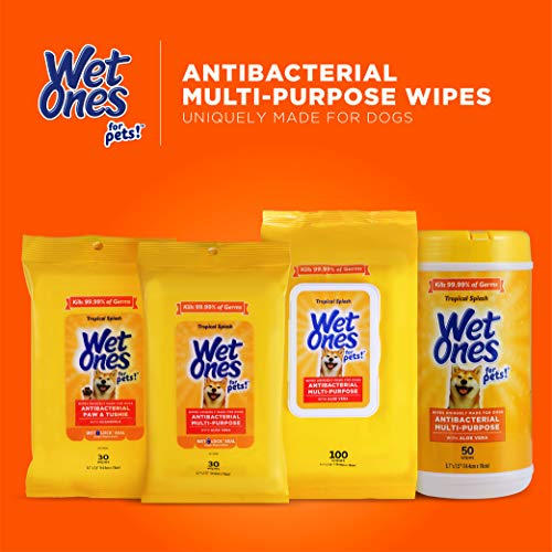 Wet Ones for Pets Multi-Purpose Dog Wipes with Aloe Vera, 50 Count - 3 Pack | Dog Wipes for All Dogs in Tropical Splash, Wipes for Paws & All Purpose