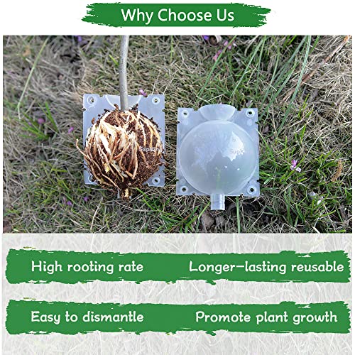 Plant Rooting Grow Propagation Ball,Air Layering kit,Assisted Cutting Rooting,Reusable Plant Rooting Device,High Pressure Ball Grafting Device Root Box for Plants Rose.(8pack)