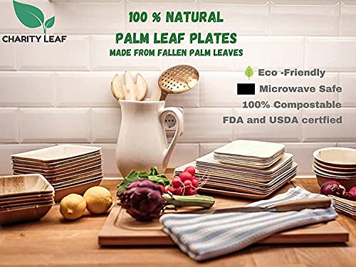 Charity Leaf Disposable Palm Leaf 13" Round Flat Trays (10 pieces) Bamboo Like Serving Platters, Disposable Boards, Eco-Friendly Dinnerware For Weddings, Catering, Events